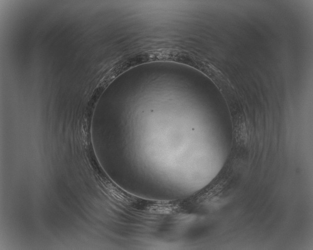 X0000058800661200509301208