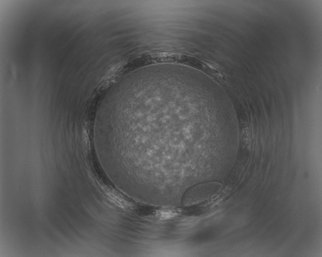X0000058800662200509301208