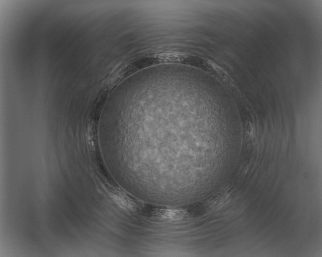X0000058800663200509301209