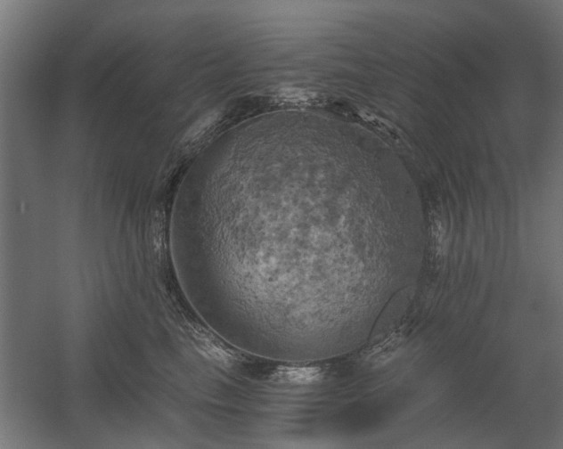 X0000058800665200509301209