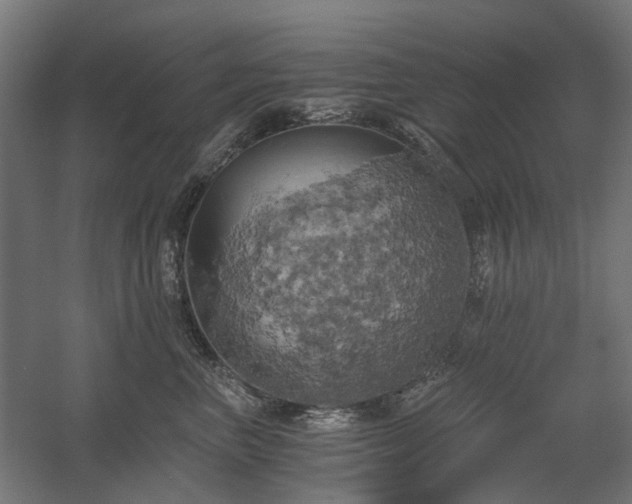 X0000058800667200509301209