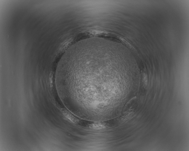 X0000058800668200509301209
