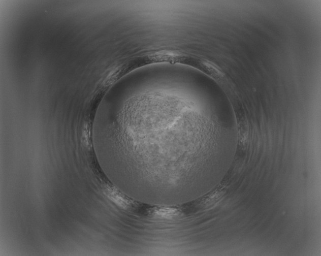 X0000058800669200509301209