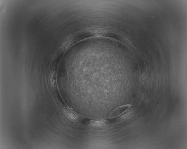 X0000058800671200509301209
