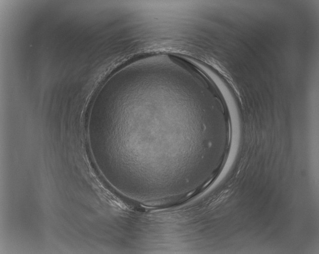 X0000058800673200509301208