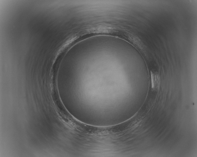 X0000058800675200509301208