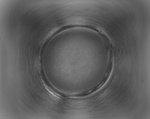 X0000058800677200509301208