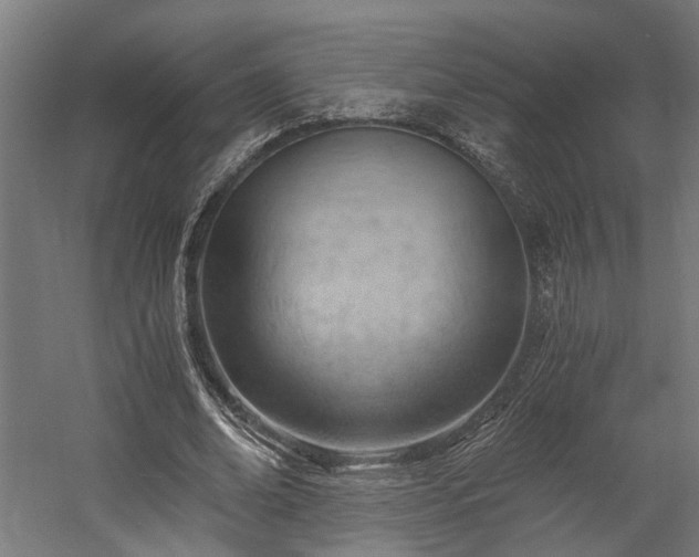 X0000058800678200509301208