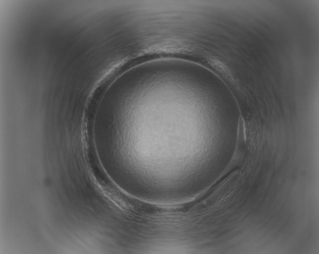 X0000058800680200509301208