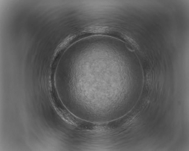 X0000058800682200509301208