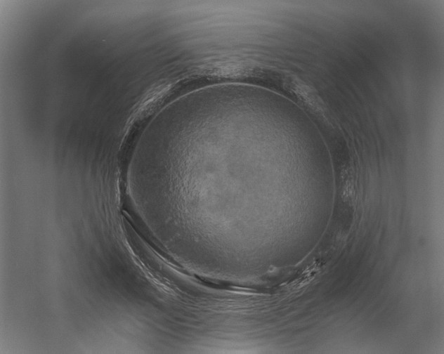 X0000058800685200509301208