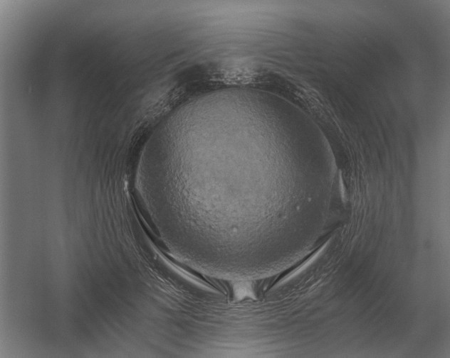 X0000058800697200509301207