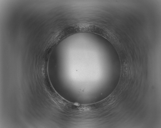 X0000058800698200509301207