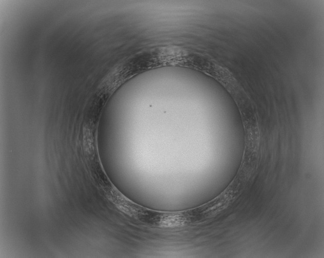 X0000058800705200509301207