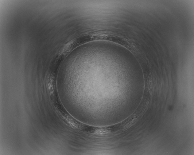 X0000058800708200509301207