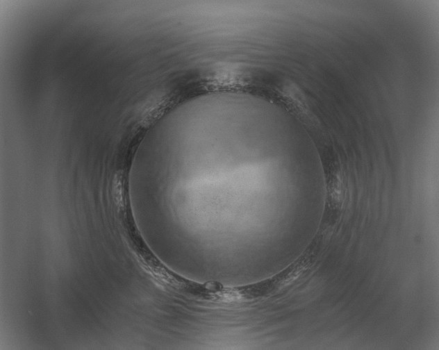 X0000058800715200509301207