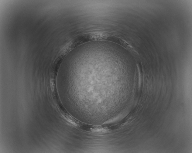X0000058800716200509301207