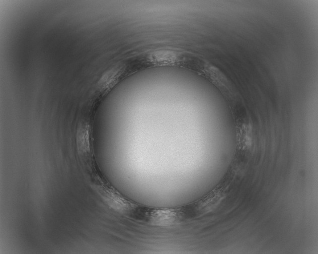 X0000058800717200509301207
