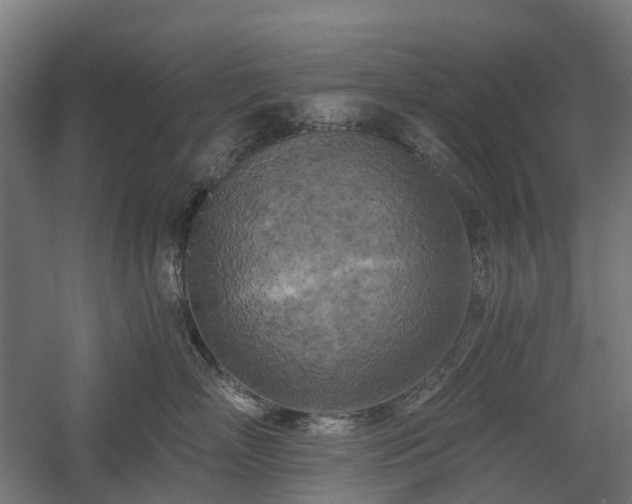 X0000058800718200509301207