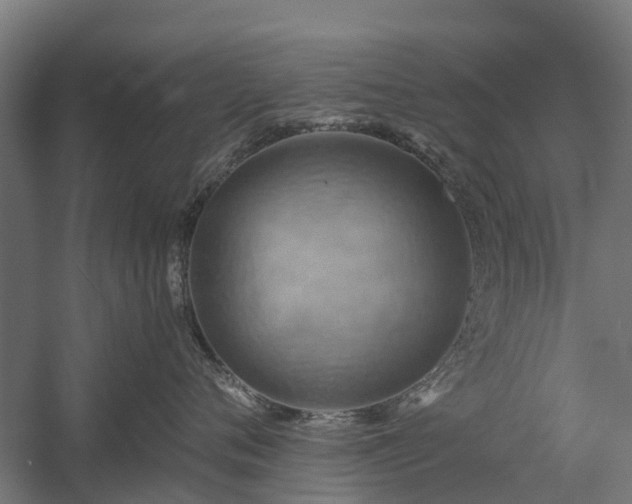 X0000058800720200509301207