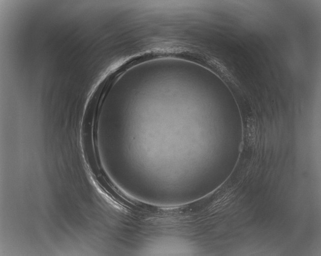 X0000058800726200509301206