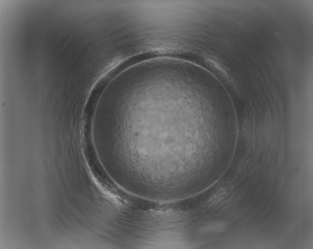 X0000058800730200509301206