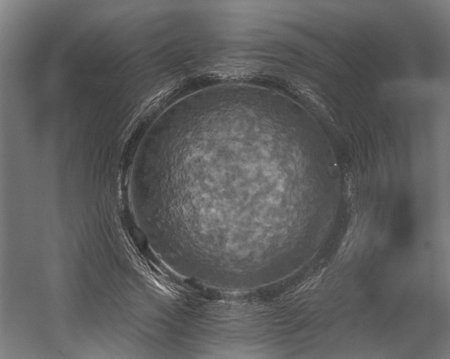 X0000058800733200509301206