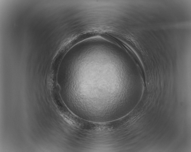 X0000058800736200509301206