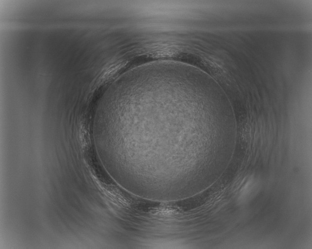 X0000058800743200509301207
