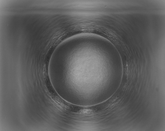X0000058800748200509301207
