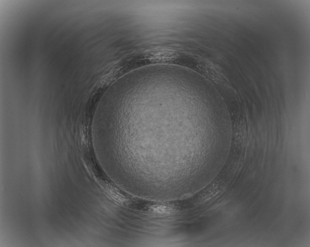 X0000058800755200509301207