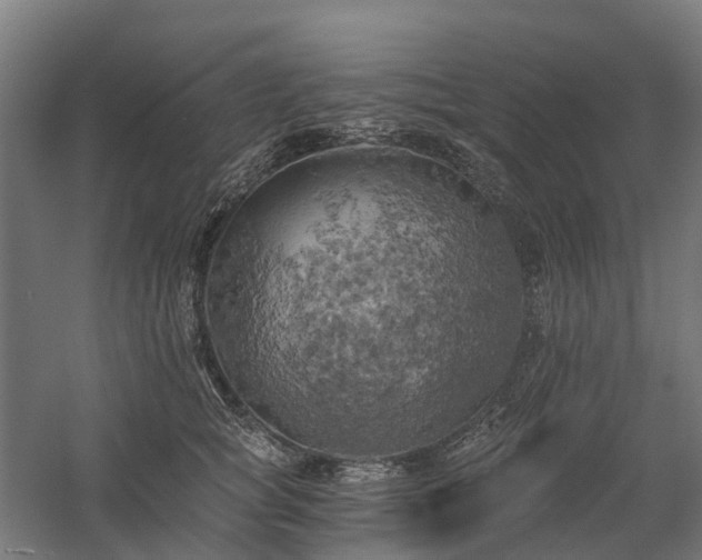 X0000058800757200509301207