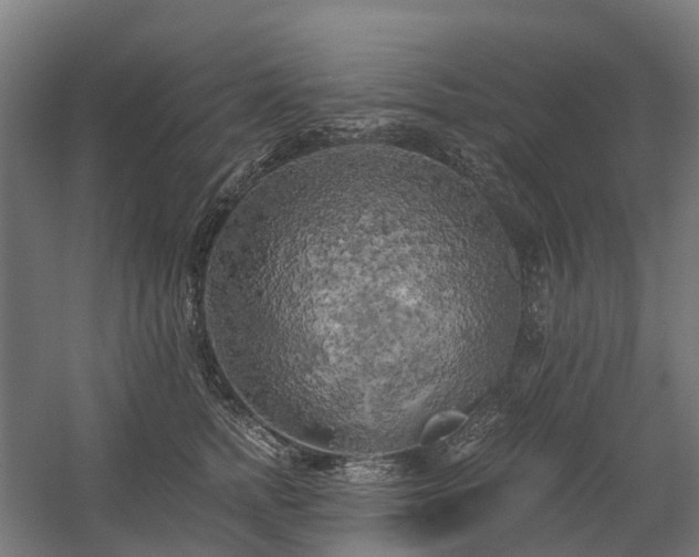 X0000058800758200509301207