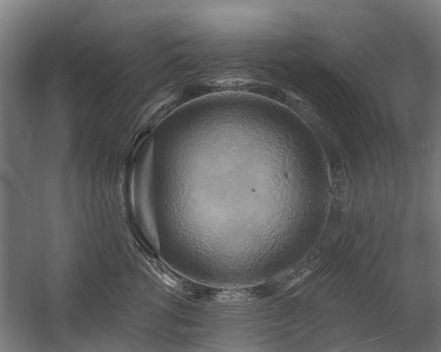 X0000058800762200509301207