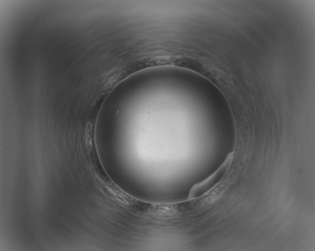 X0000058800768200509301207