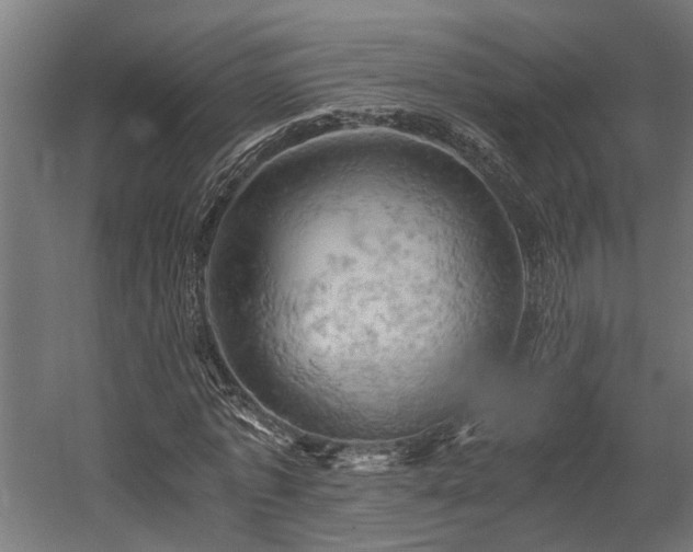 X0000058800773200509301206