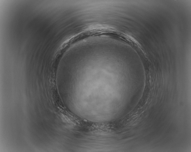 X0000058800775200509301206