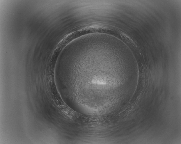 X0000058800776200509301206