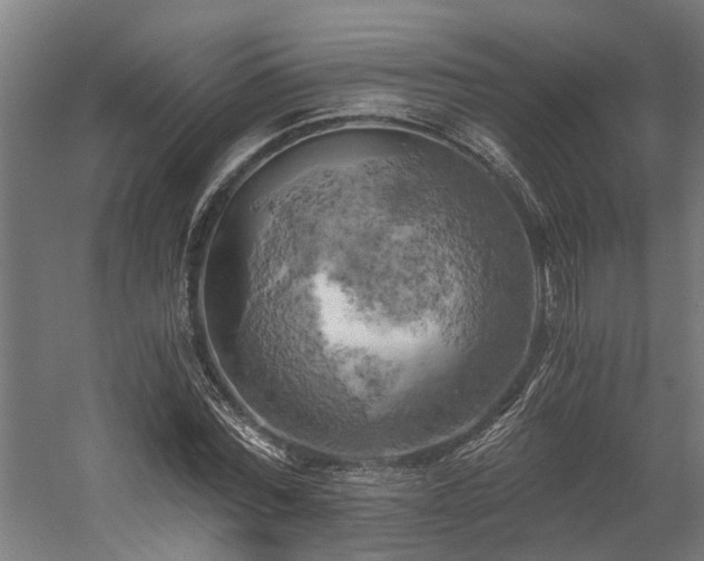 X0000058800780200509301206