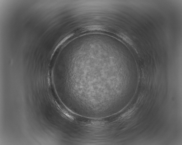 X0000058800782200509301206