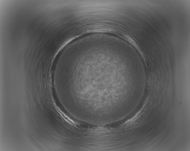X0000058800787200509301206