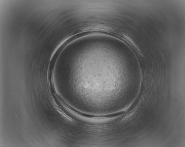 X0000058800788200509301206