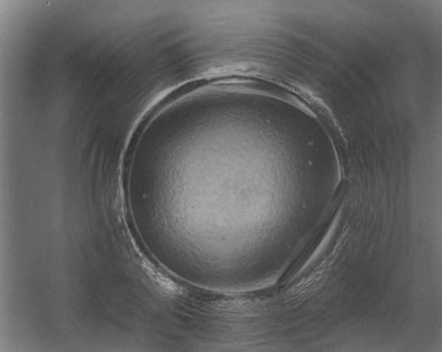 X0000058800792200509301206