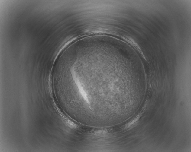 X0000058800798200509301206
