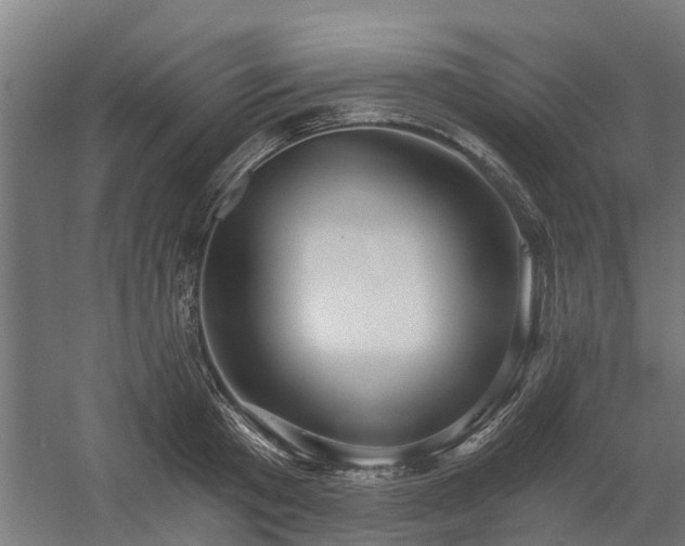 X0000058800801200509301206