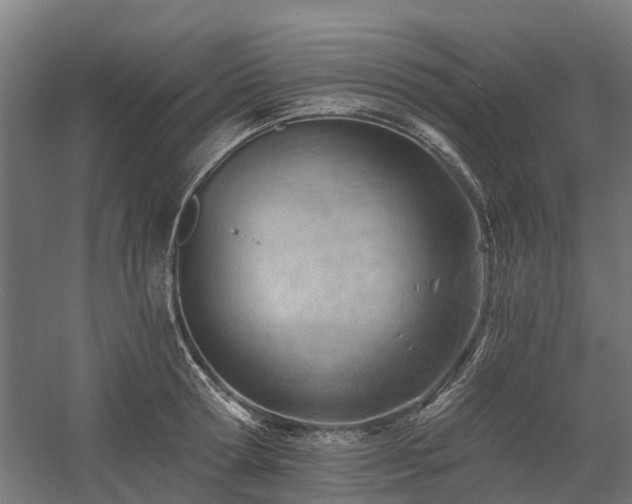 X0000058800802200509301206