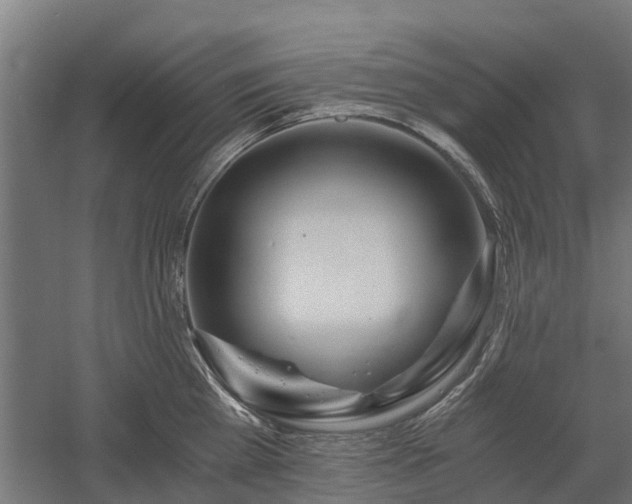 X0000058800809200509301206