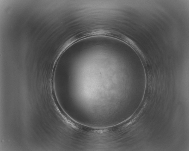 X0000058800810200509301206