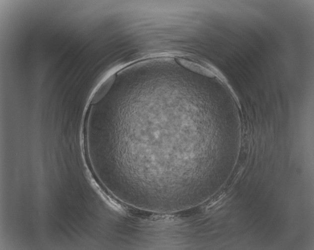 X0000058800811200509301205