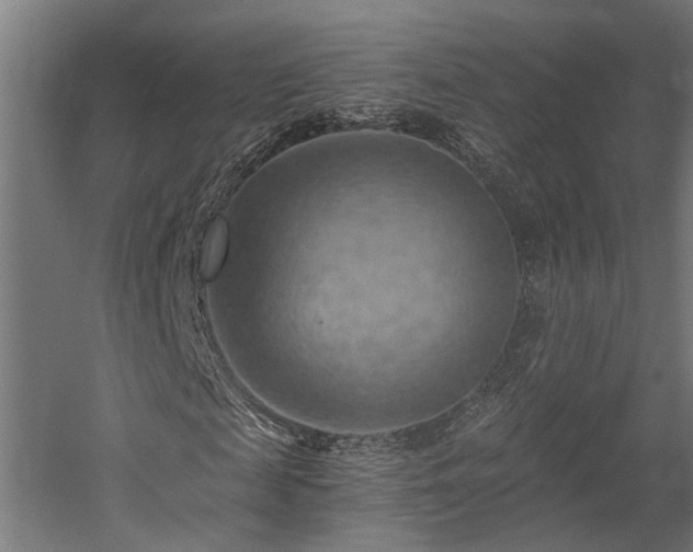 X0000058800817200509301205
